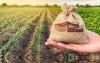 خبر خوش صندوق بیمه برای کشاورزان